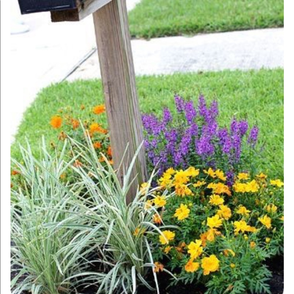 Meet your Posher, Sheron